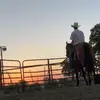 John sands - @johnsands307 - TikTok