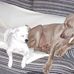 John Sangster - Facebook