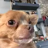John Sanner - @johnsannero - TikTok