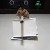 John Santorelli - @johnsantorelli_9867 - TikTok