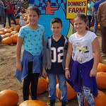 John Sardella - @john_sard - Instagram