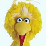 john satterthwaite - @savage_big_bird12 - Instagram