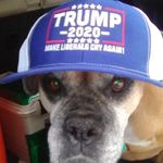 John Savarese - @jsavarese6027 - Instagram