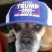 John Savarese - Facebook