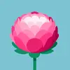 saraandjohnsavel - @saraandjohnsavel - TikTok