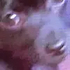 johnsawatzky - @johnsawatzky6 - TikTok