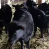 johnsayler463 - @johnsayler463 - TikTok