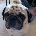 John Scarberry - @alloygrimm - Instagram