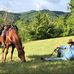 John Scarsella - Facebook