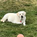 John Scarr - @jscarr15 - Instagram