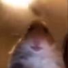 John-Do Schaak - @johny_boy_14 - TikTok