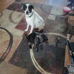 John Schachermeyer - @johnschachermeyer - Instagram