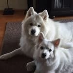 John Scharff - @john.scharff - Instagram