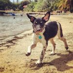 John Scheible - @john.scheible.3 - Instagram