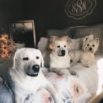 John Schell - @john.schell.94 - Instagram