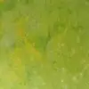 John Schieberl - @johnschieberl - TikTok