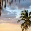 Jon Schiffman - @808._27 - TikTok