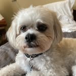 John Schilder - @schilder.john - Instagram
