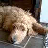 jaytonschletzbaum - @jaytonschletzbaum - TikTok