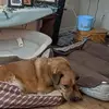 John Schmid - @john.schmid - TikTok