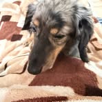 John Schmidt - Facebook