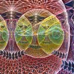 John Schoenfelder - Facebook