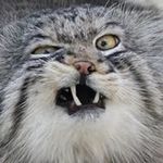 John Schoffstall - @johnschoffstall - Instagram