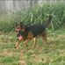 John Schryver - Facebook