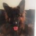 John Schubert - Facebook