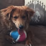 John Schuldt - @schuldtja59 - Instagram