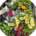 Marianne schwandt - @johnschwandt_ - Instagram
