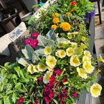Marianne Schwandt - @johnschwandt - Instagram