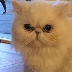 John Schwindt - @john_schwindt - Instagram