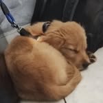@john_scotti_ - Instagram