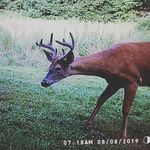 john scranton - @john_scranton_ - Instagram