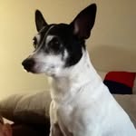 John Seale - @sealej6129 - Instagram