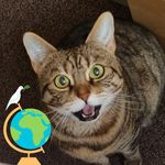 John Sealey - @knight115js - Instagram
