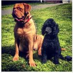 John (Sean) - @450mri_sean_john - Instagram