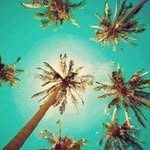 John Sear - @sear.john - Instagram