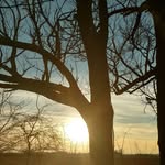 John Robert - @john.searle.988 - Instagram