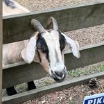 John Sedoriosa - @johnsedoriosa - Instagram