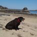John Seeley - Facebook