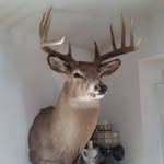 John Seeling - @johns712024 - Instagram