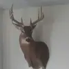 John Seiber - @johnseiber91 - TikTok