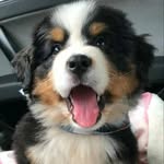 john semon - @johnsemon08 - Instagram