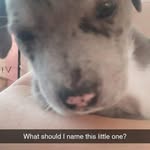 Iviee Johnsen - @johnseniviee - Instagram