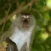 johnsenkbeil - @johnsenkbeil - TikTok
