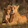 johnsennarca291 - @johnsennarca291 - TikTok