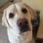 John Senna - @senna222_john - Instagram