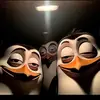 johnsens0 - @johnsens0 - TikTok